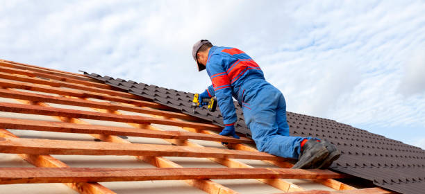 Best Roof Moss and Algae Removal  in Rexburg, ID